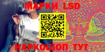 амф Донской