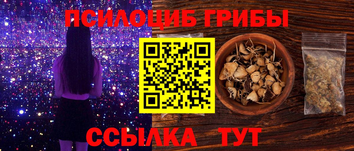 Вязьма  Псилоцибиновые грибы Cubensis  Вход с VPN 