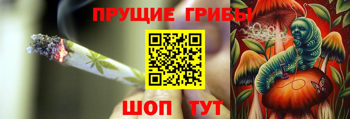 Галлюциногенные грибы GOLDEN TEACHER Вязьма
