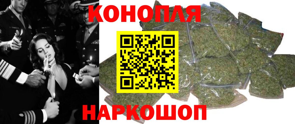 Конопля сатива Вязьма